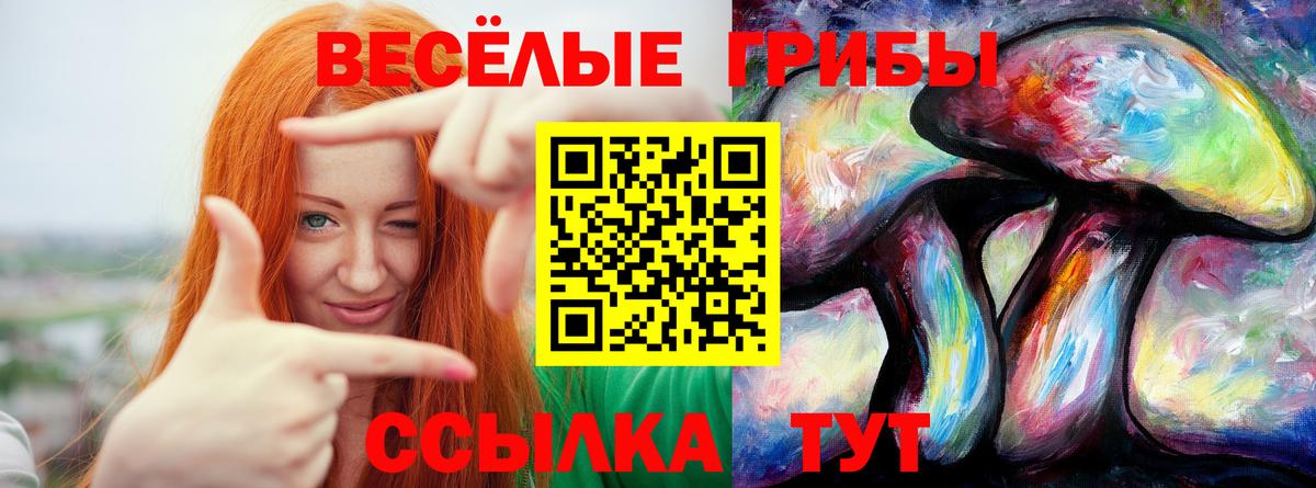 Галлюциногенные грибы Psilocybe  Вход с VPN  Мончегорск  Псилоцибиновые грибы мухоморы 